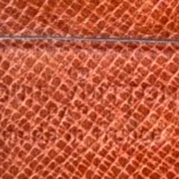 Louis Vuitton Portfolio - Picture 3 of 8